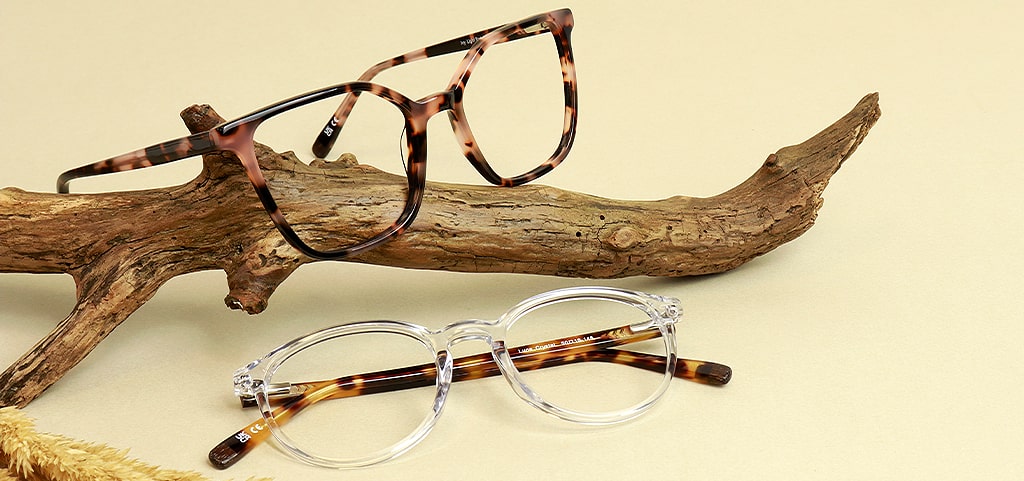2 pairs of Arden frames on a branch