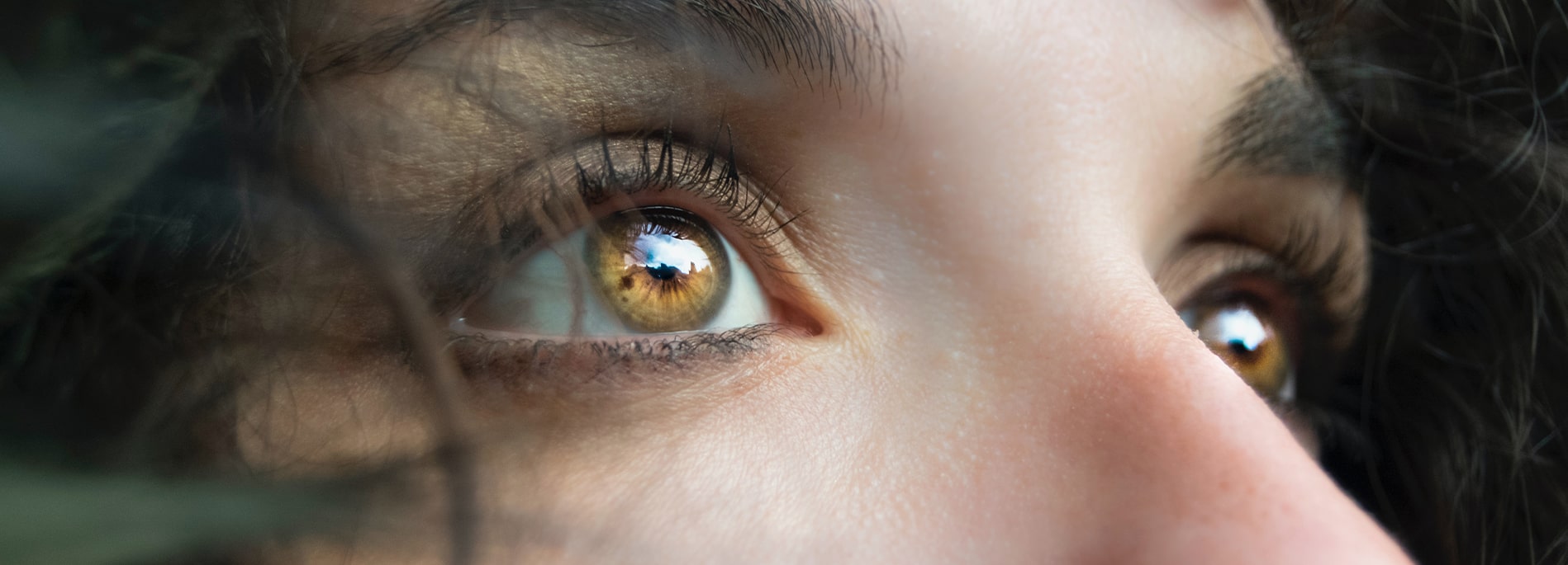 Amber Eyes Shown in Rare and Stunning Photos