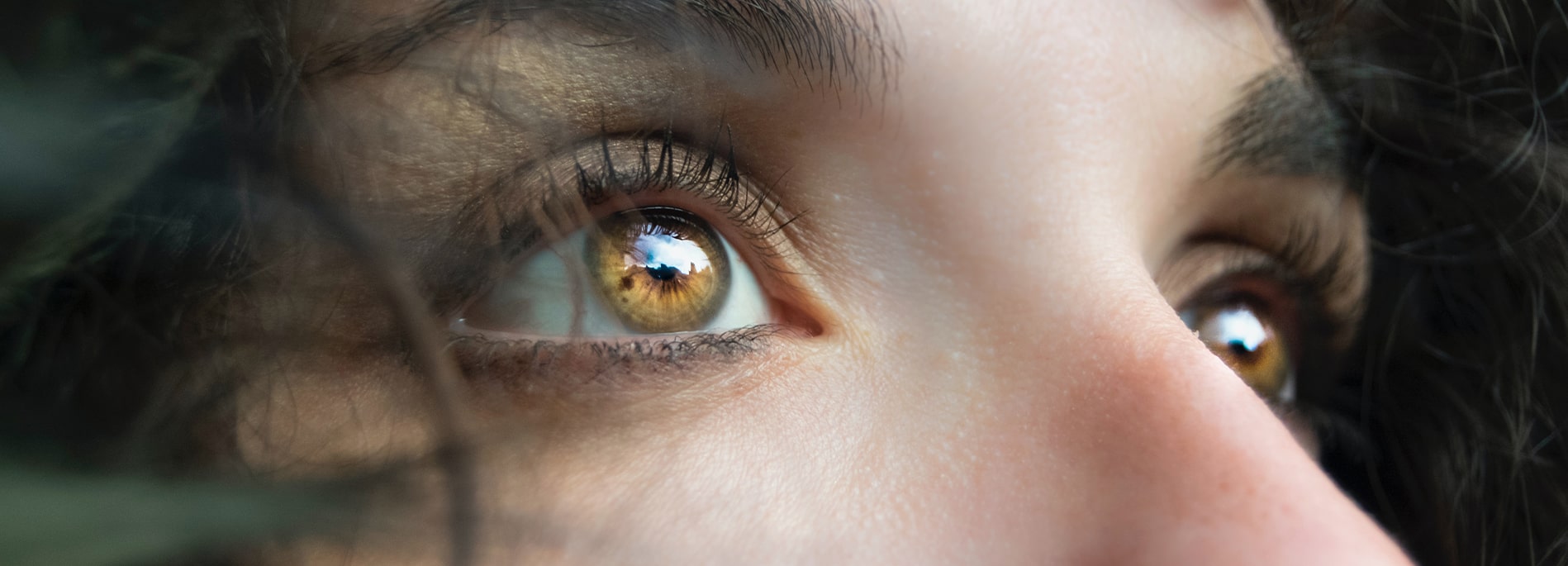 Close-up of a pair of amber eyes looking into the distance