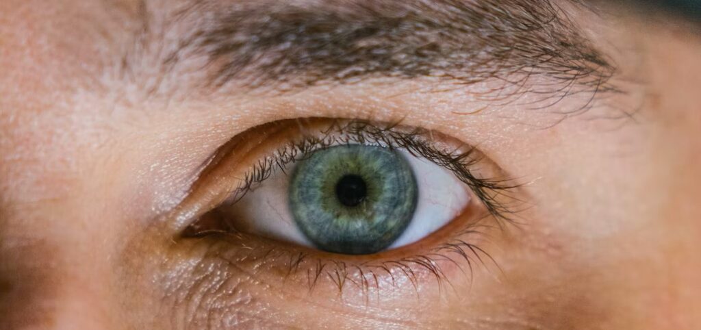 The truth about blue eyes: everything you need to know - Glasses Direct Blog