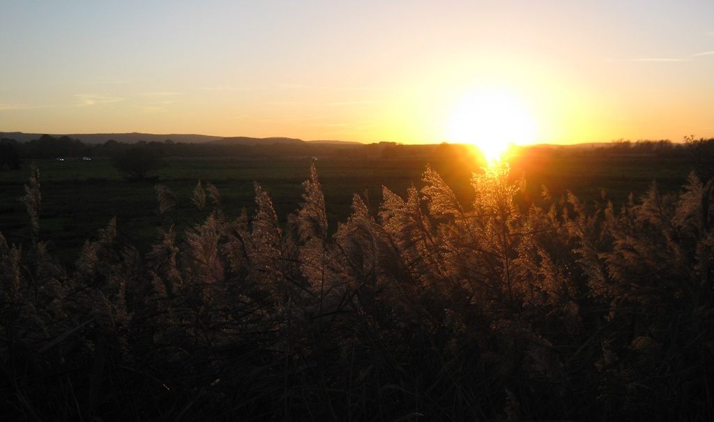 Sun setting over the Dorset countryside