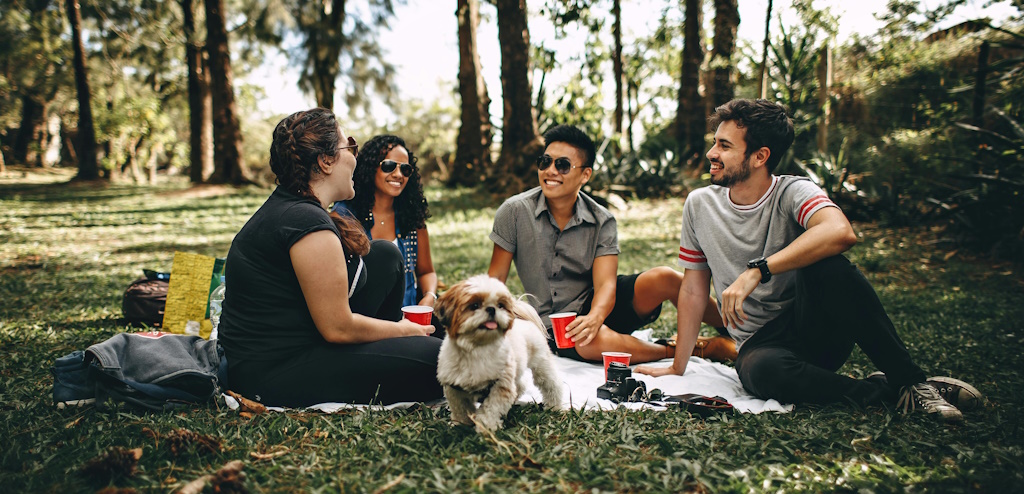 A group of four friends and their small dog enjoying a picnic outdoors